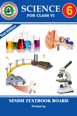 SCIENCE ENGLISH BOOK CLASS 6 SINDH TEXT BOOK BOARD JAMSHORO( STBB )