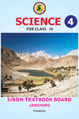 SCIENCE ENGLISH BOOK CLASS 4 SINDH TEXT BOOK BOARD JAMSHORO( STBB )